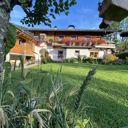 Appartement Haus Gantschnigg *