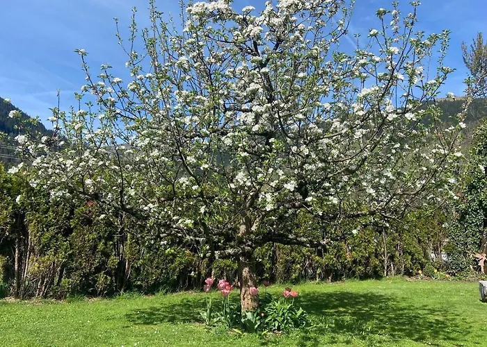 Haus Gantschnigg アパート ヨッホベルク